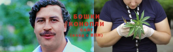 прущие грибы Пестово