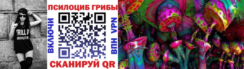 MEGA маркетплейс  Бирюсинск  Псилоцибиновые грибы мицелий 